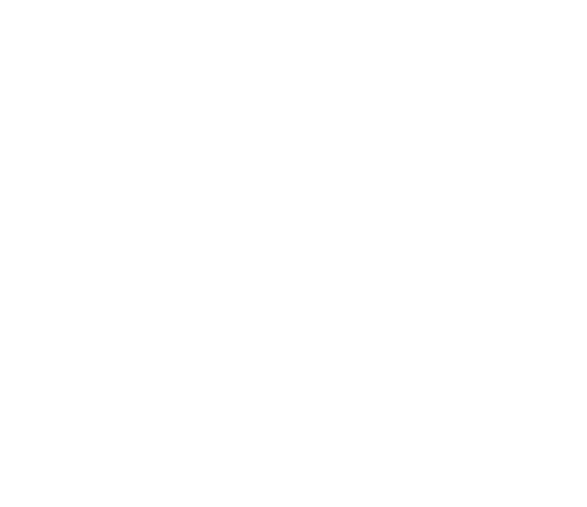 web develpoment service